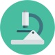 Tumor characteristics