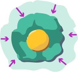 Chemotherapy is administered to help shrink your child’s tumor for easier removal