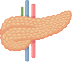 Neuroblastoma treatment effects on metabolic processes