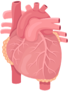 Neuroblastoma treatment effects on the heart
