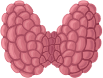 Neuroblastoma treatment effects on thyroid