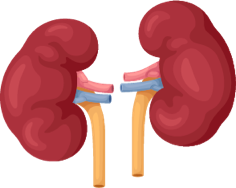 Neuroblastoma treatment effects on the kidneys